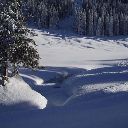 Hotel Des Alpes Adelboden Bagian luar foto