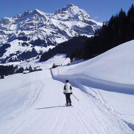 Hotel Des Alpes Adelboden Bagian luar foto