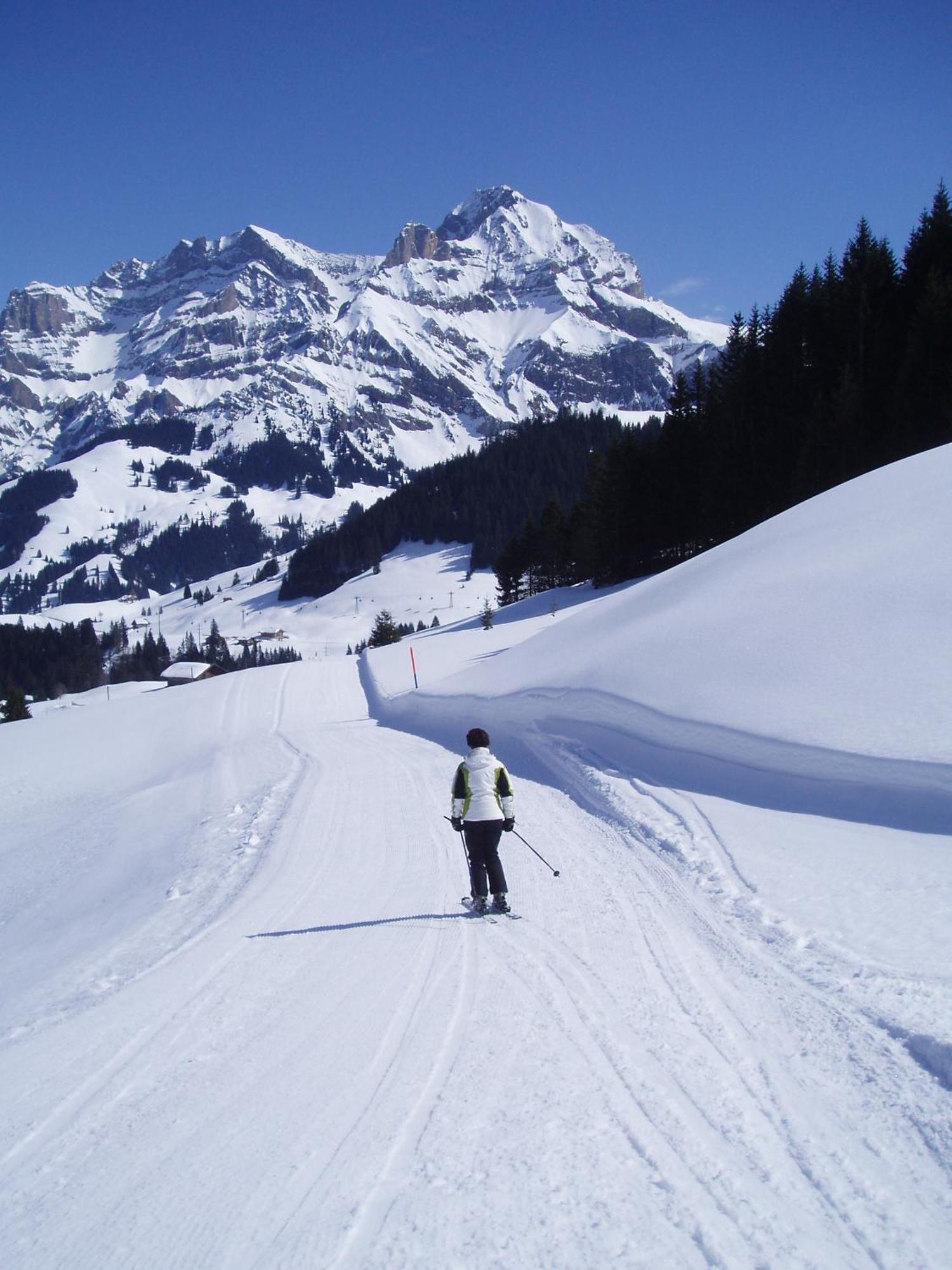 Hotel Des Alpes Adelboden Bagian luar foto