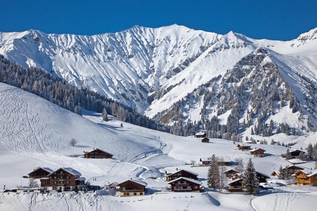 Hotel Des Alpes Adelboden Bagian luar foto