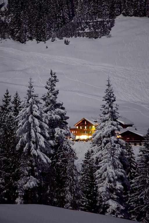 Hotel Des Alpes Adelboden Bagian luar foto