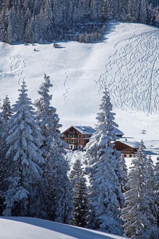 Hotel Des Alpes Adelboden Bagian luar foto