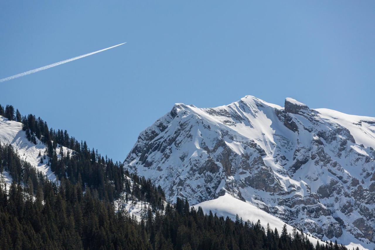 Hotel Des Alpes Adelboden Bagian luar foto