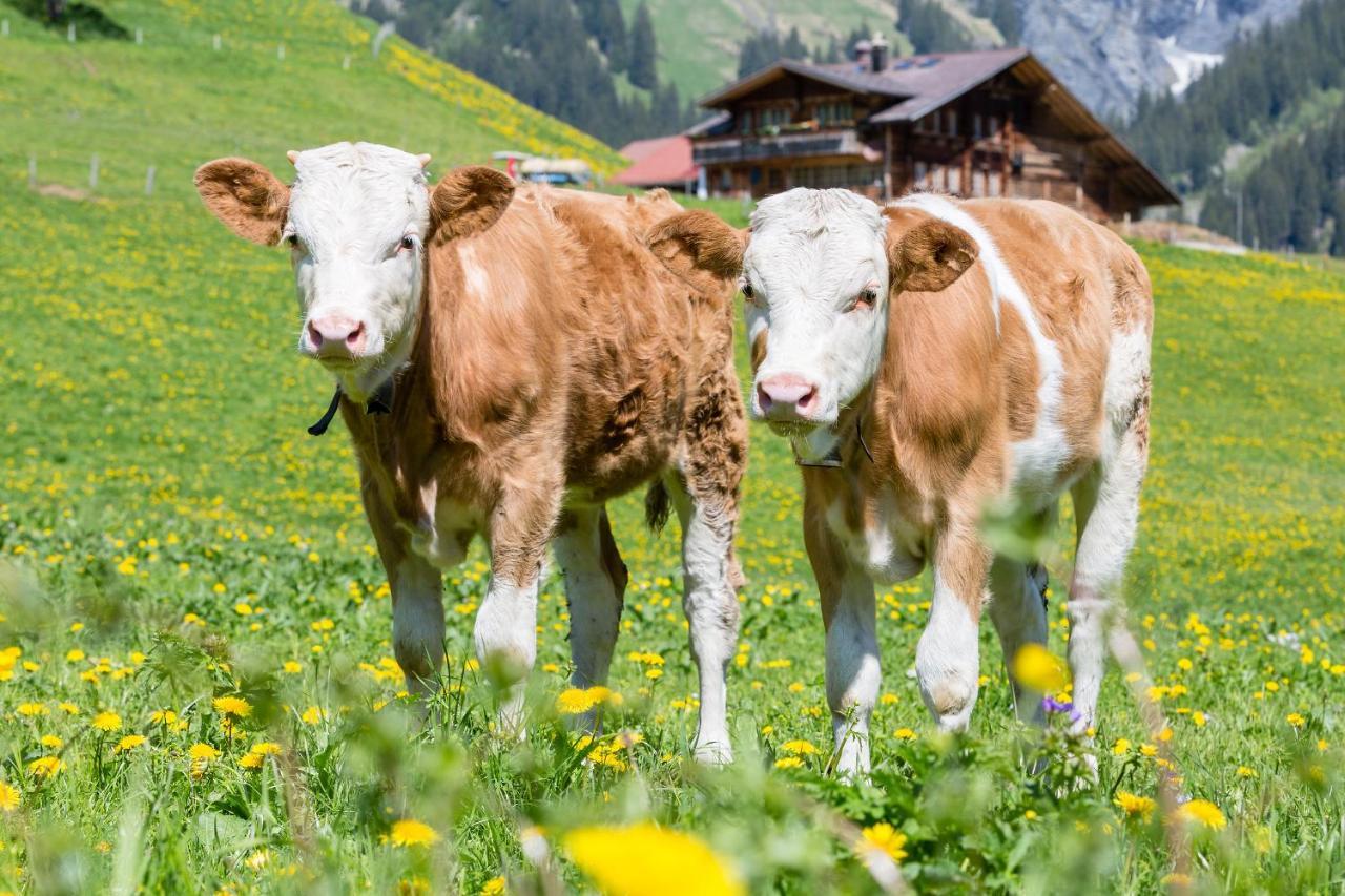 Hotel Des Alpes Adelboden Bagian luar foto