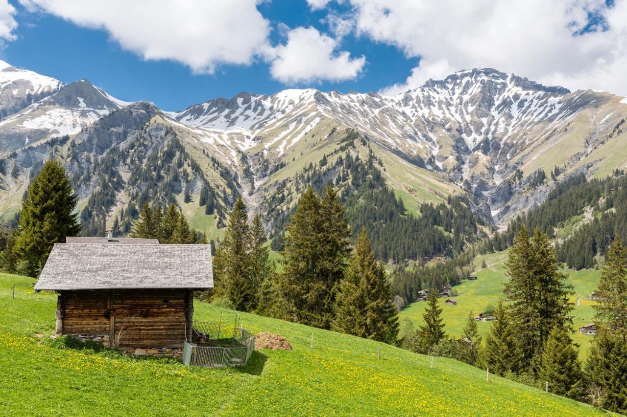Hotel Des Alpes Adelboden Bagian luar foto